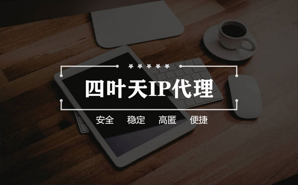 【阳江代理IP】如何快速搭建代理IP？怎么检查代理的效果？