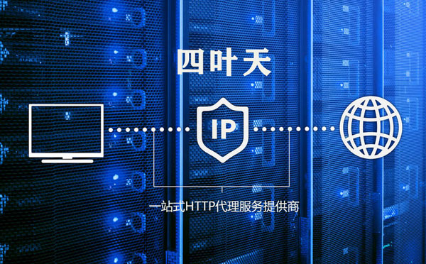 【阳江代理IP】代理IP的主要用途和使用注意事项